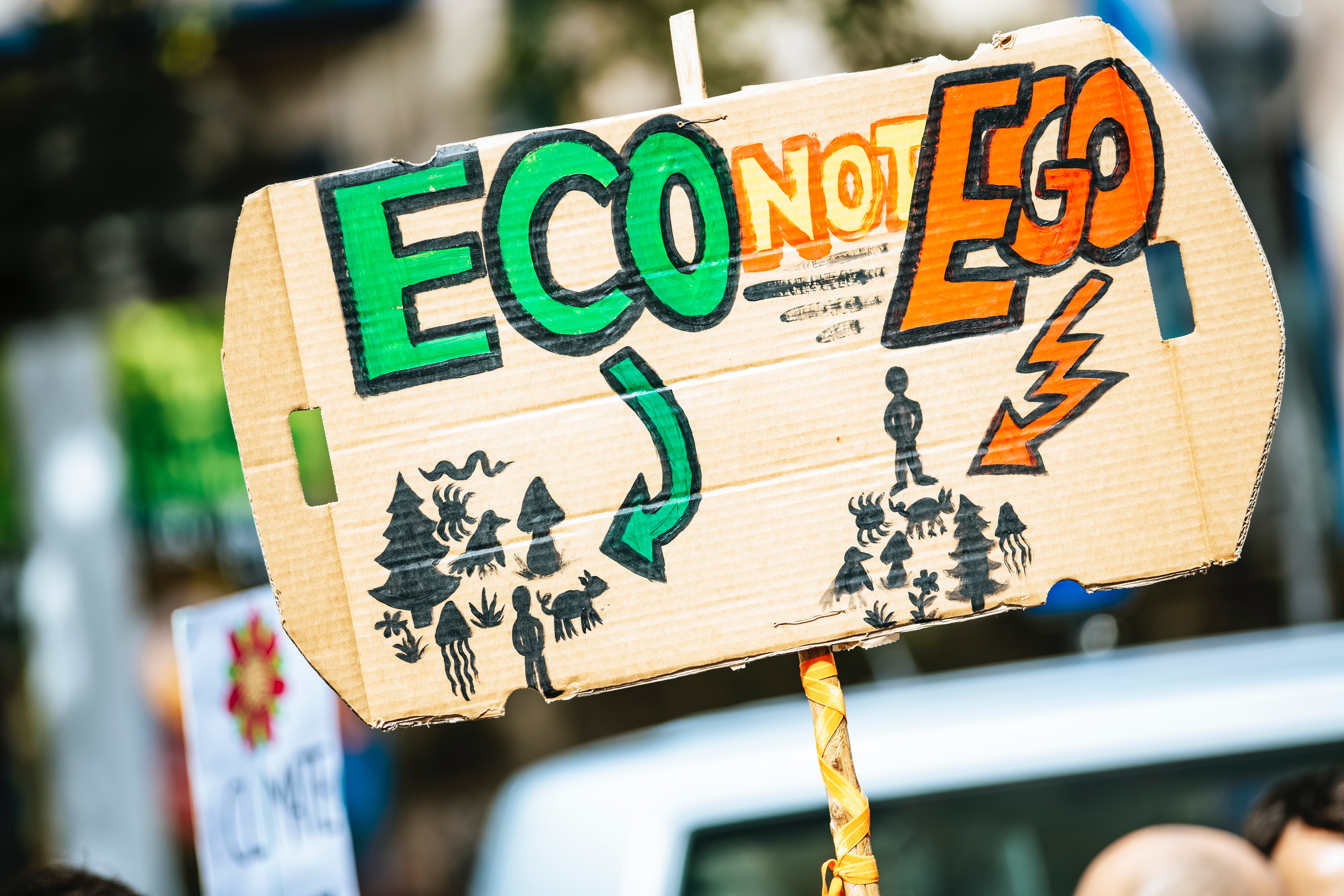 Eco statt Ego — die Werte der Generation Z.